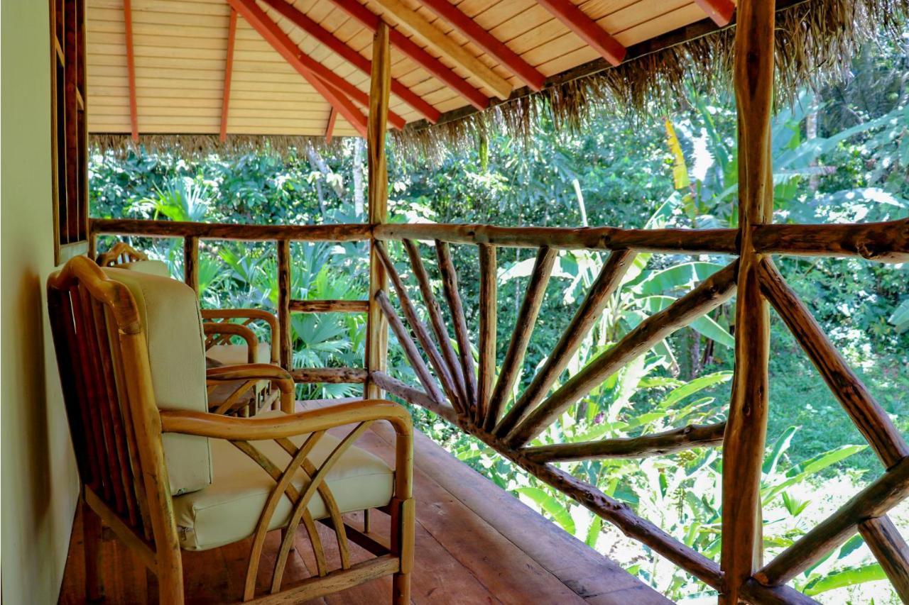 Suchipakari Amazon Eco -Lodge & Jungle Reserve Puerto Misahuallí Exterior foto