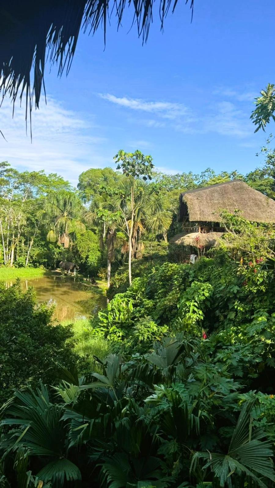 Suchipakari Amazon Eco -Lodge & Jungle Reserve Puerto Misahuallí Exterior foto