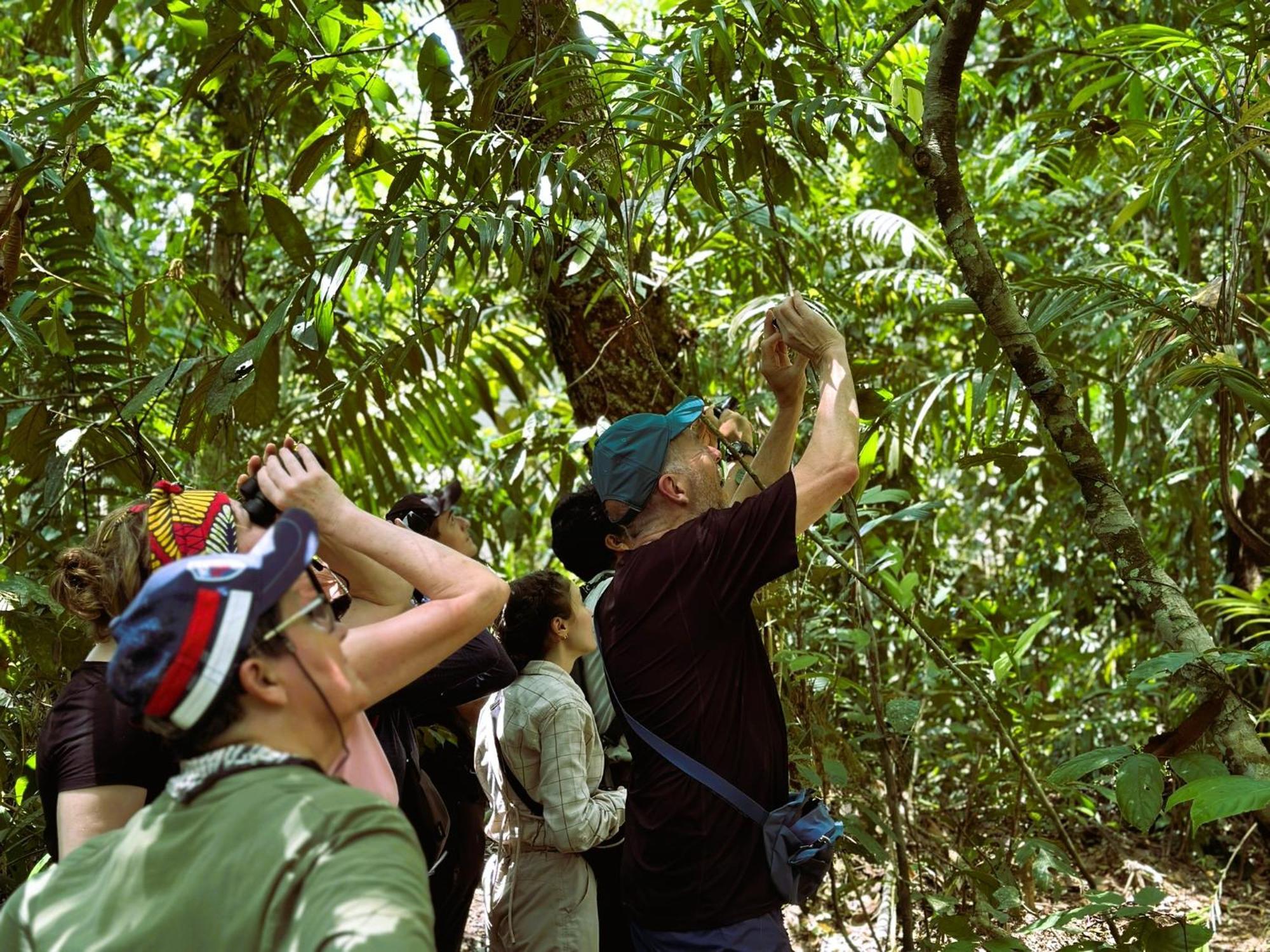 Suchipakari Amazon Eco -Lodge & Jungle Reserve Puerto Misahuallí Exterior foto